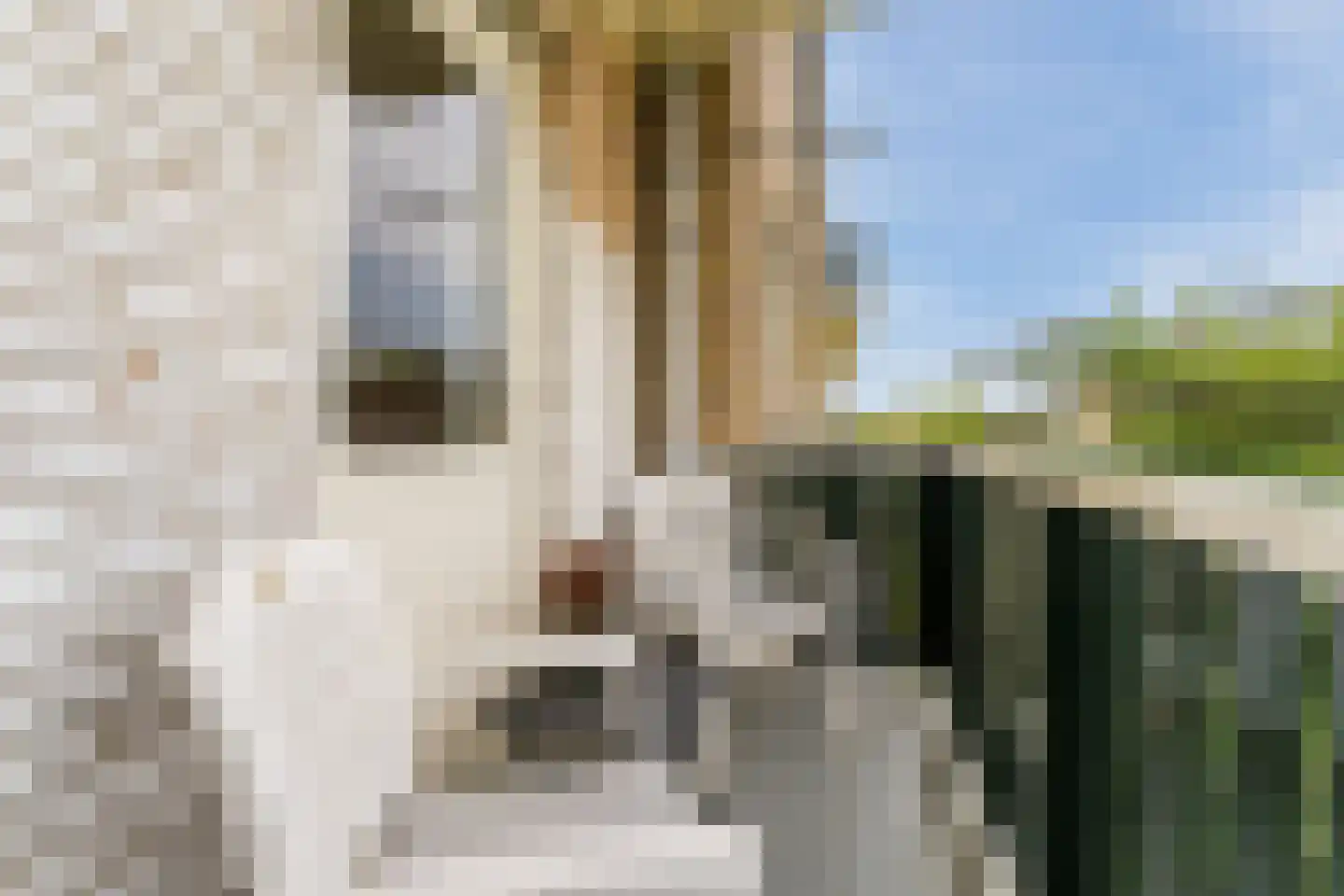 Jacques Perklaan 32 I Haarlem thumbnail 30