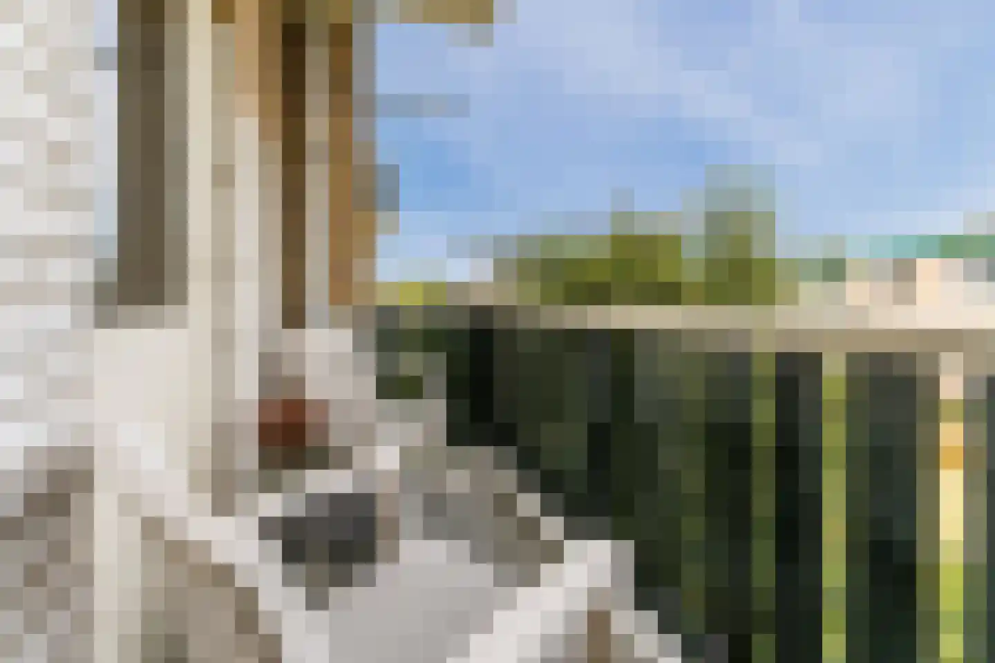 Jacques Perklaan 32 I Haarlem thumbnail 31
