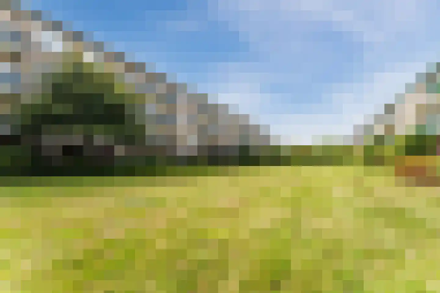 Jacques Perklaan 32 I Haarlem thumbnail 35