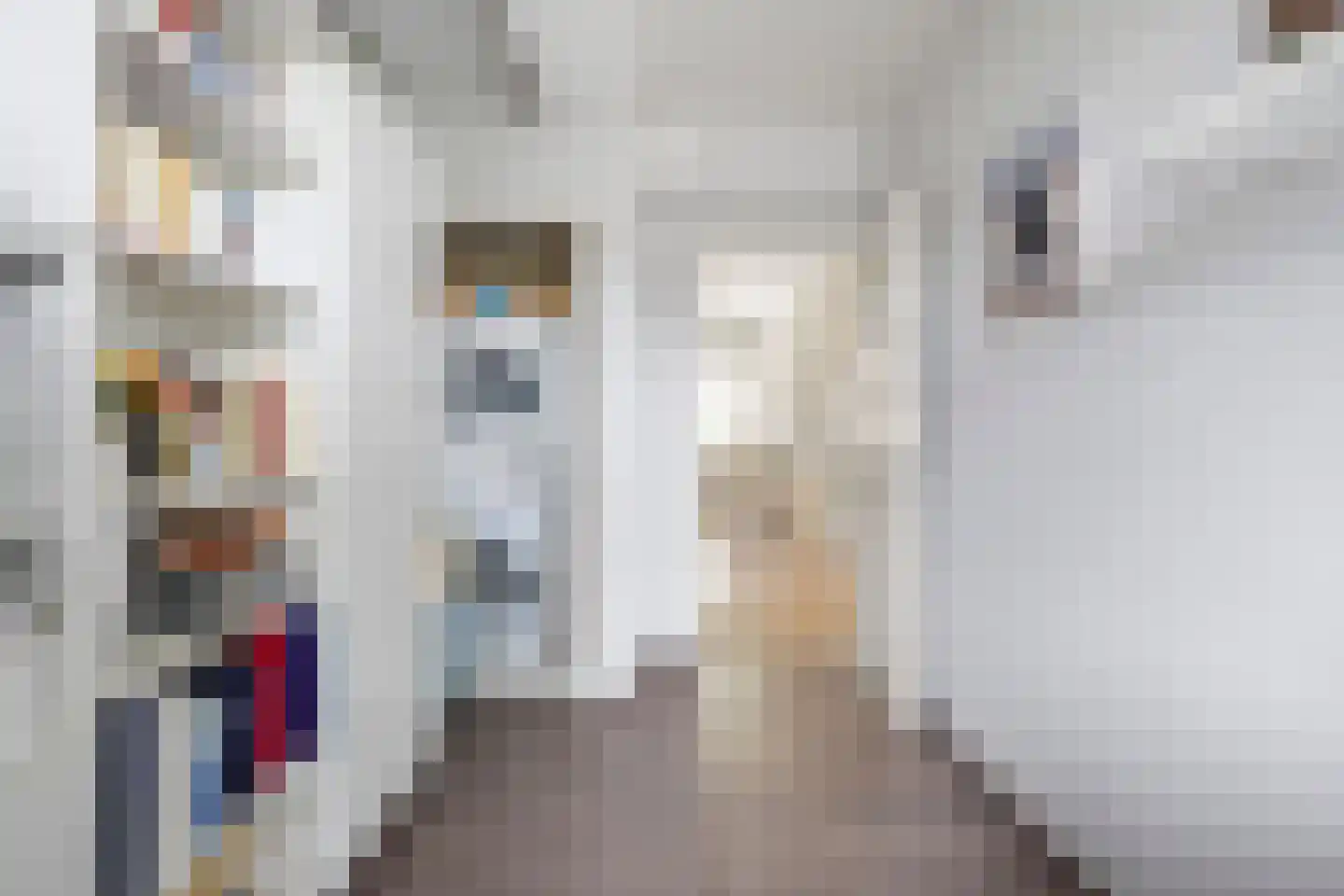 Jacques Perklaan 42 Haarlem thumbnail 17