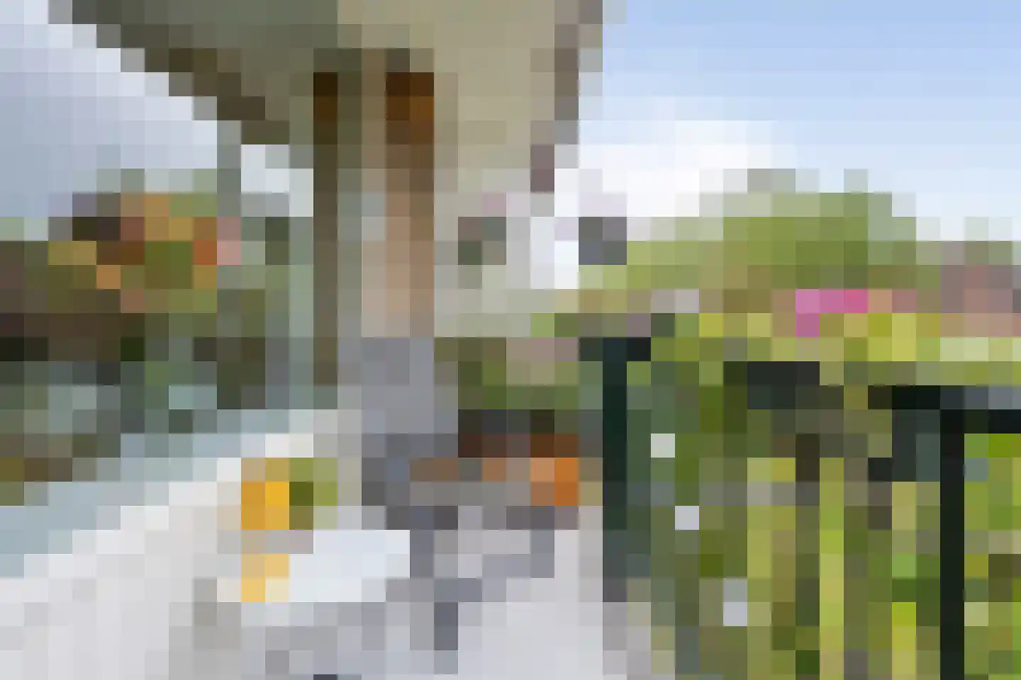 Jacques Perklaan 42 Haarlem thumbnail 9