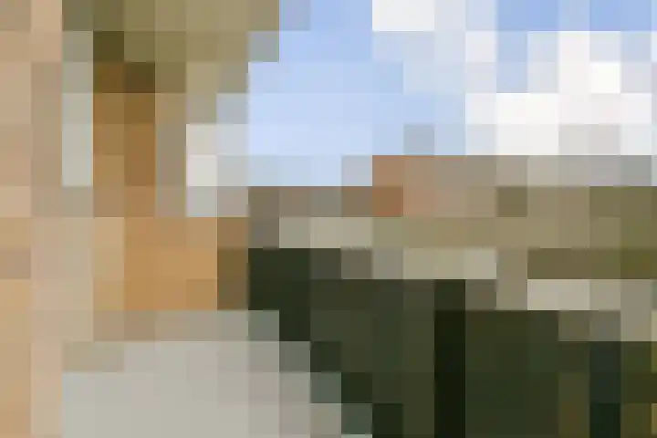 Jacques Perklaan 46 Haarlem thumbnail 14