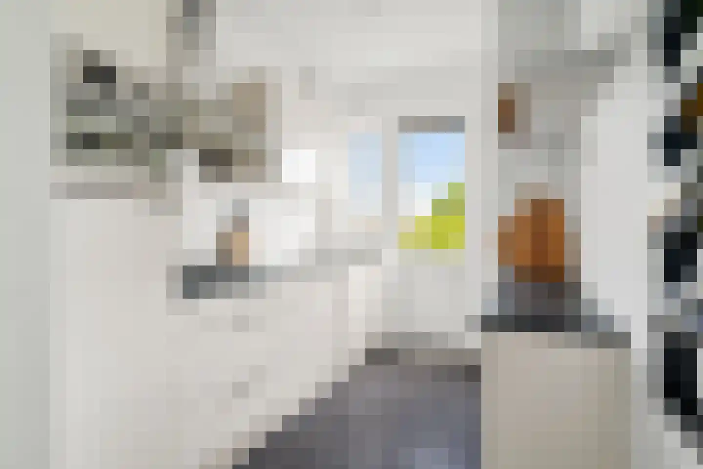Jacques Perklaan 54 II Haarlem thumbnail 21