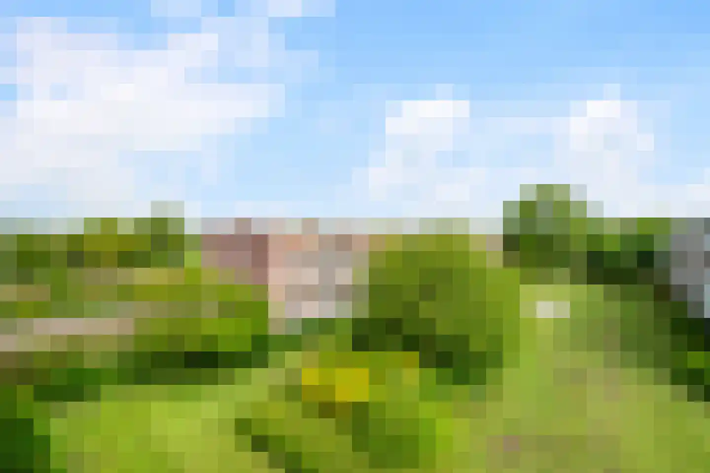 Jacques Perklaan 54 II Haarlem thumbnail 26