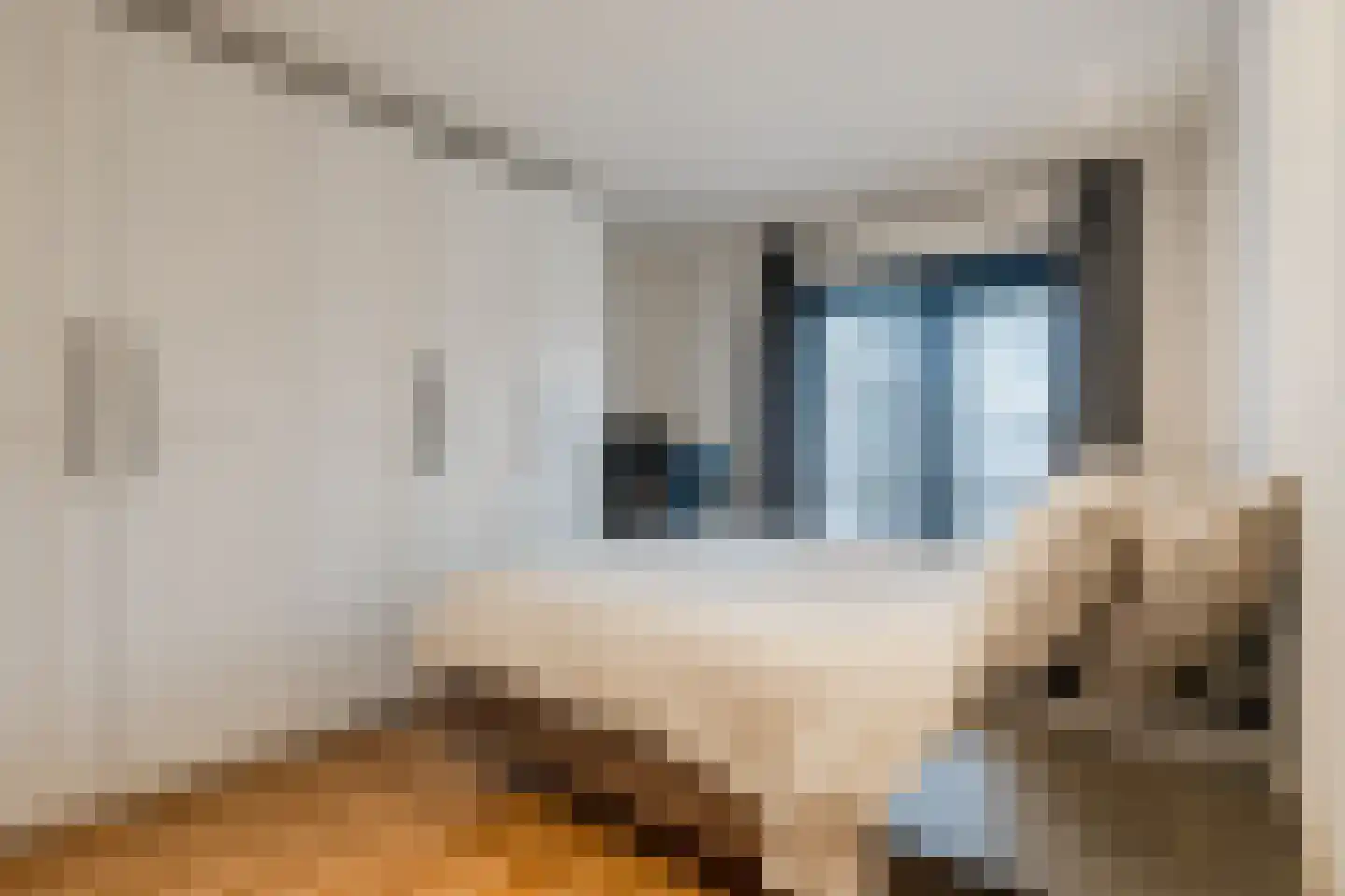 Jacques Perklaan 56 I Haarlem thumbnail 15