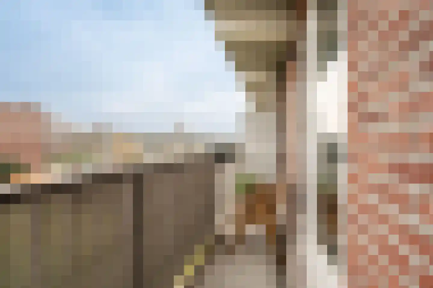 Jacques Perklaan 56 I Haarlem thumbnail 20
