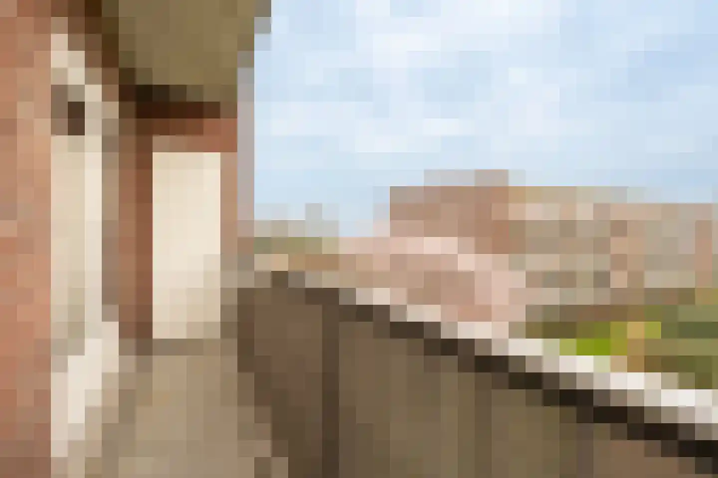 Jacques Perklaan 56 I Haarlem thumbnail 21