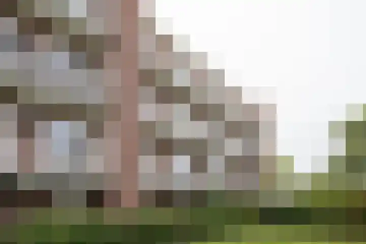 Jacques Perklaan 60 I Haarlem thumbnail 26