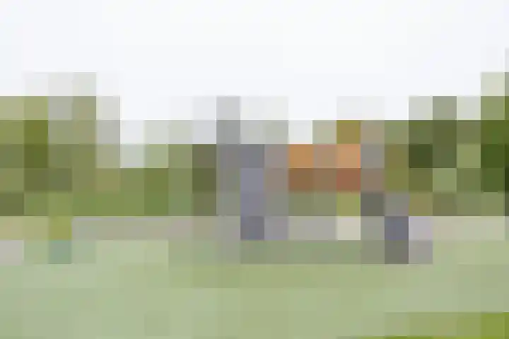 Jacques Perklaan 60 I Haarlem thumbnail 29