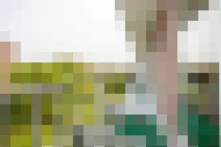 Jacques Perklaan 60 I Haarlem thumbnail 4