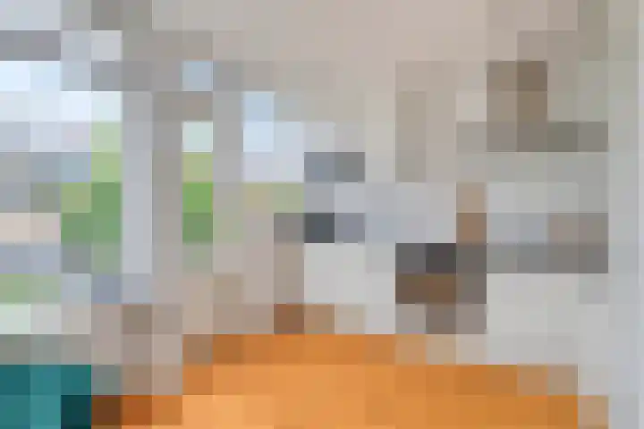 Jacques Perkplantsoen 10 Hazerswoude-Rijndijk thumbnail 11