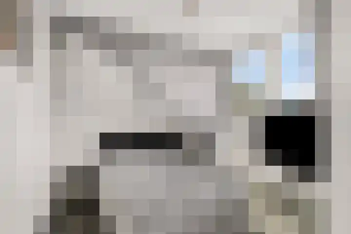 Jacques Perkplantsoen 7 Hazerswoude-Rijndijk thumbnail 31