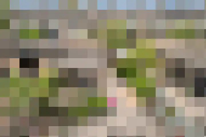 Jacques Perkplantsoen 7 Hazerswoude-Rijndijk thumbnail 32
