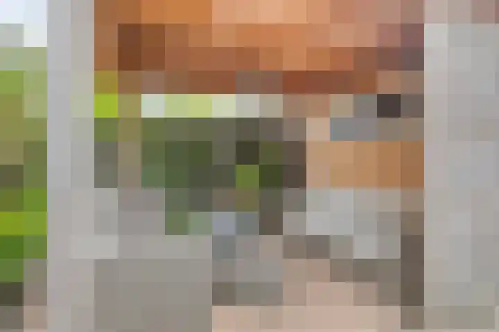 Jacques Perkplantsoen 7 Hazerswoude-Rijndijk thumbnail 36