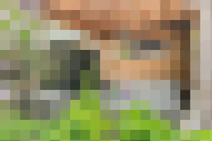 Jacques Perkplantsoen 7 Hazerswoude-Rijndijk thumbnail 37