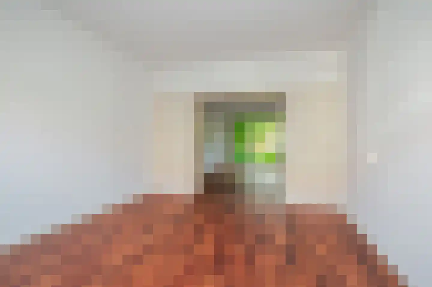 Jacques Perkstraat 10 Voorburg thumbnail 11