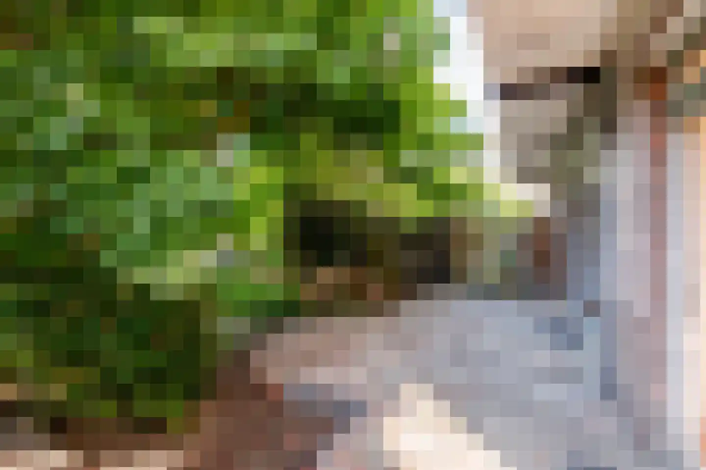 Jacques Perkstraat 10 Voorburg thumbnail 18