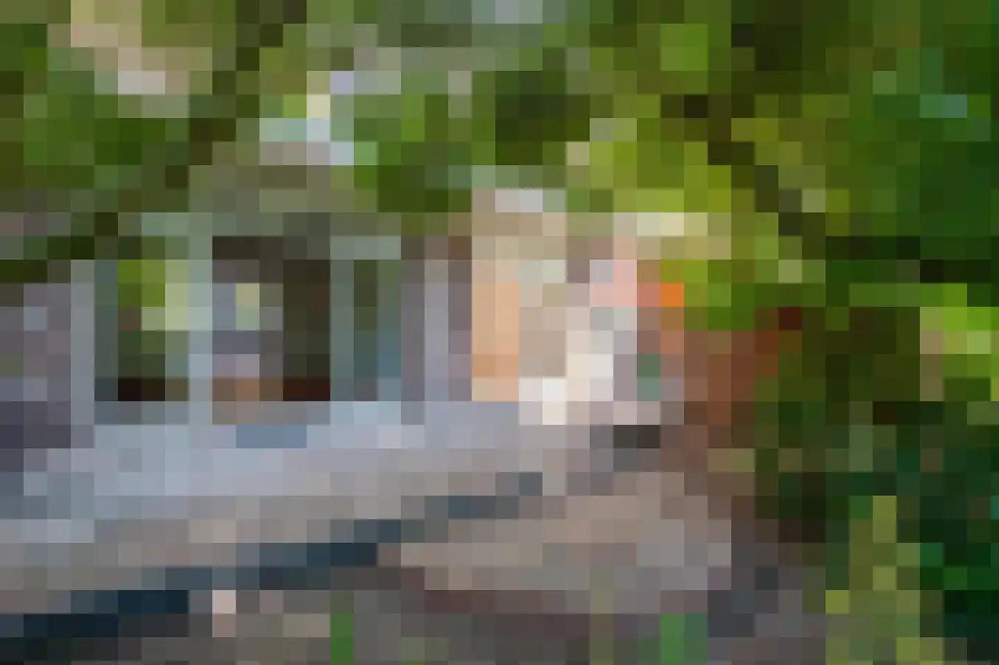 Jacques Perkstraat 10 Voorburg thumbnail 21