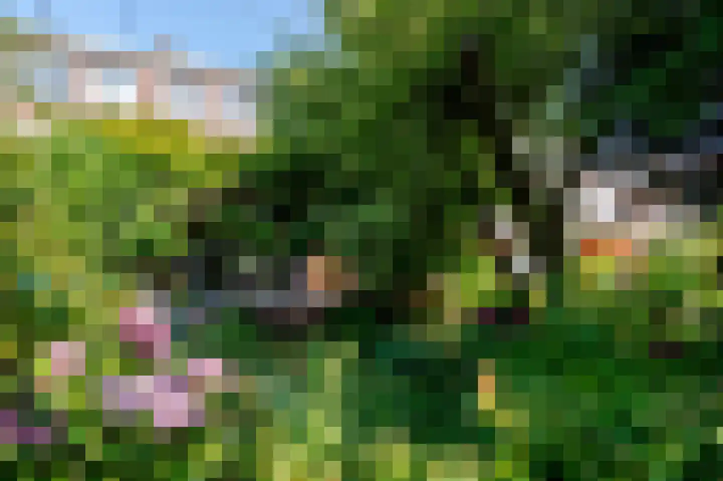 Jacques Perkstraat 10 Voorburg thumbnail 27