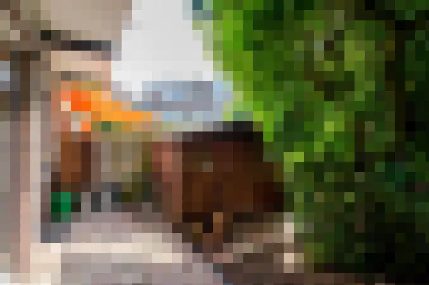 Jacques Perkstraat 10 Voorburg thumbnail 30