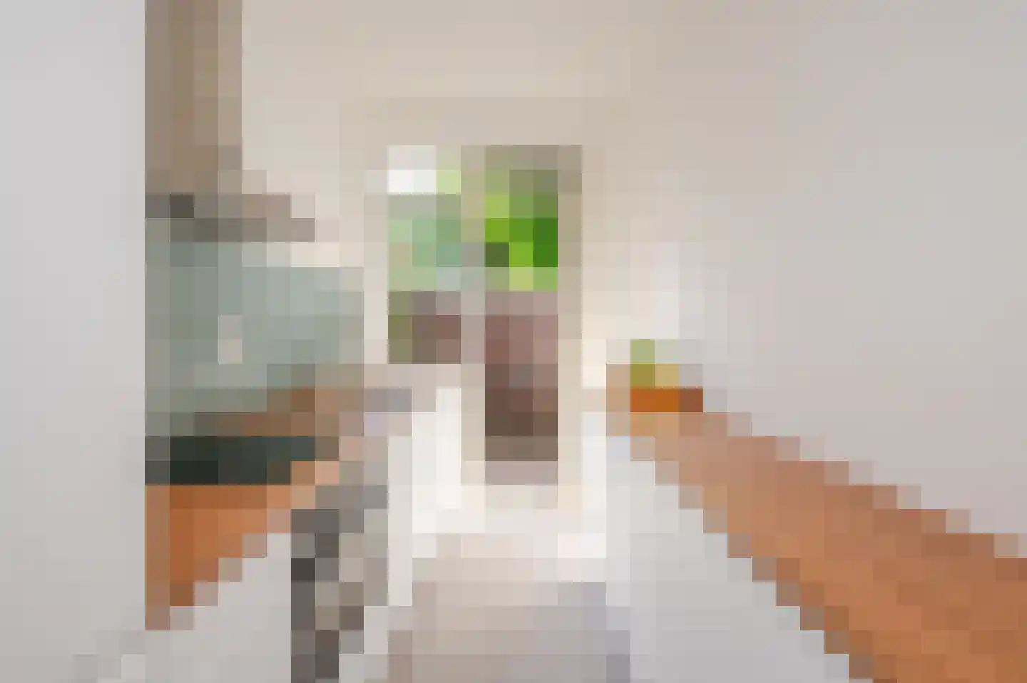 Jacques Perkstraat 10 Voorburg thumbnail 34
