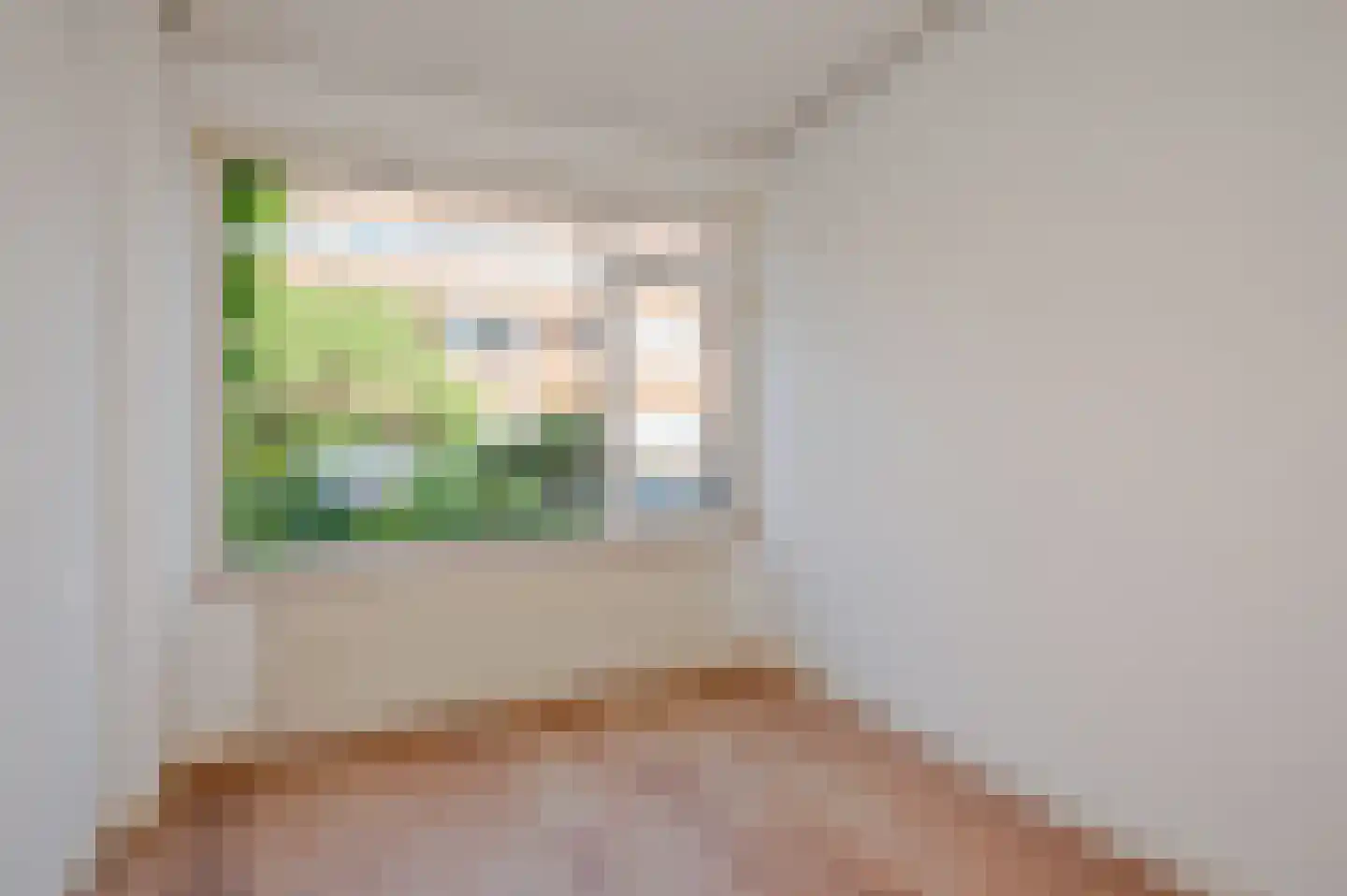 Jacques Perkstraat 10 Voorburg thumbnail 47