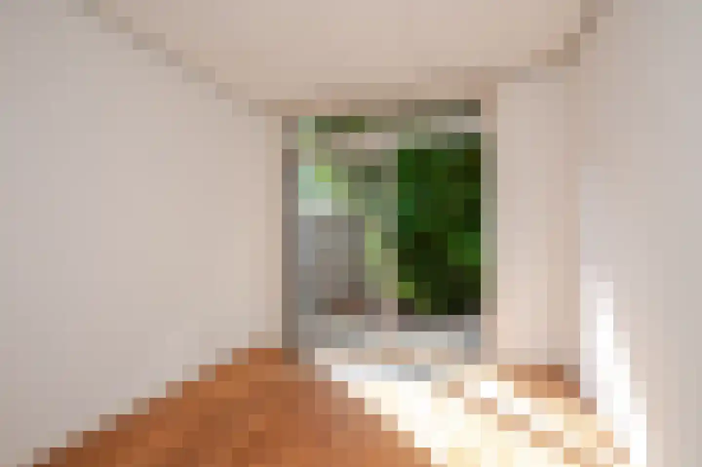 Jacques Perkstraat 10 Voorburg thumbnail 51