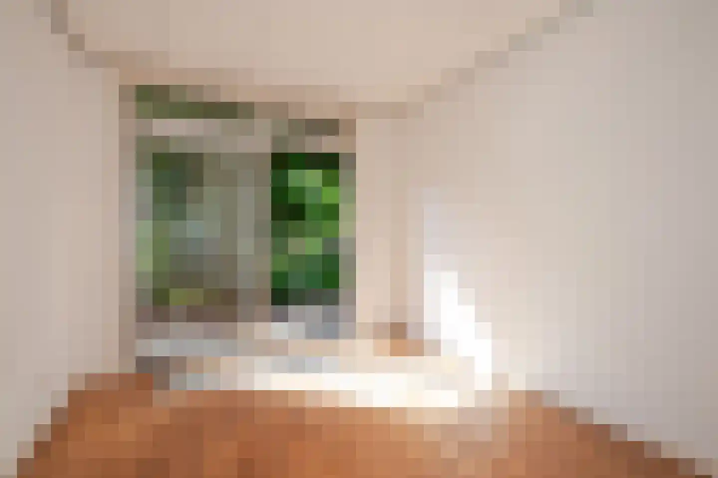 Jacques Perkstraat 10 Voorburg thumbnail 52