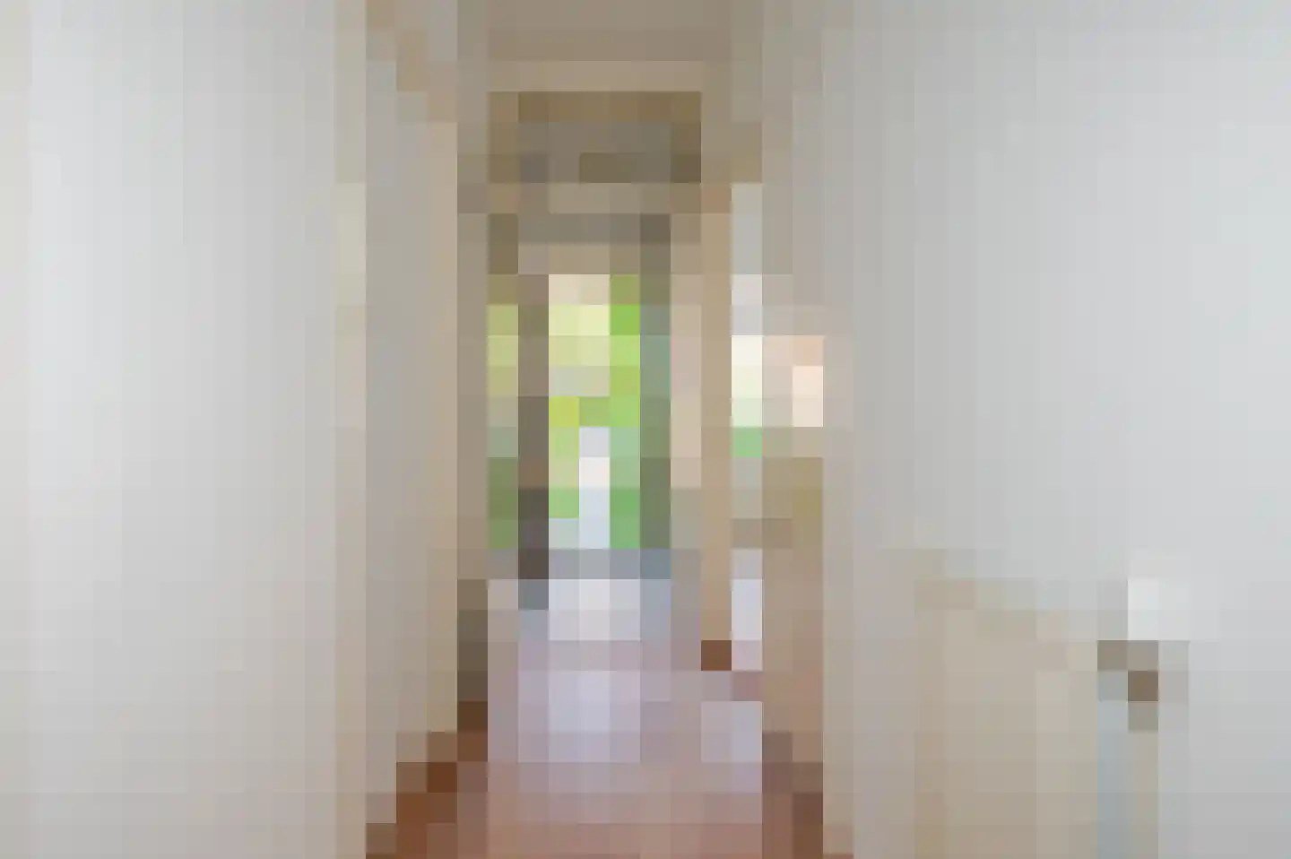 Jacques Perkstraat 10 Voorburg thumbnail 7