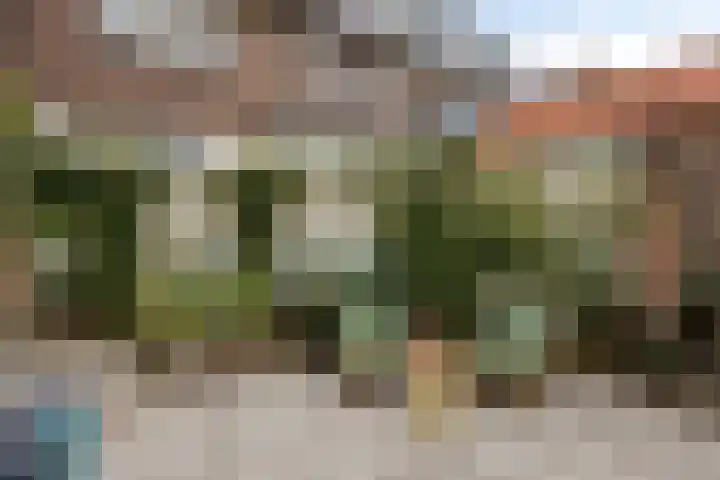 Jacques Perkstraat 12 Arnhem thumbnail 15