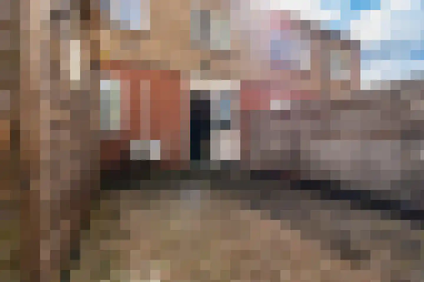 Jacques Perkstraat 13 Winschoten thumbnail 33