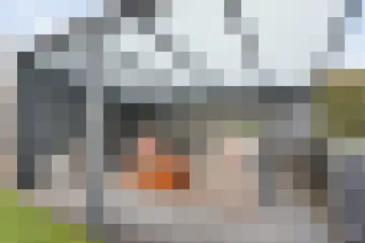 Jacques Perkstraat 2 Nijverdal thumbnail 20