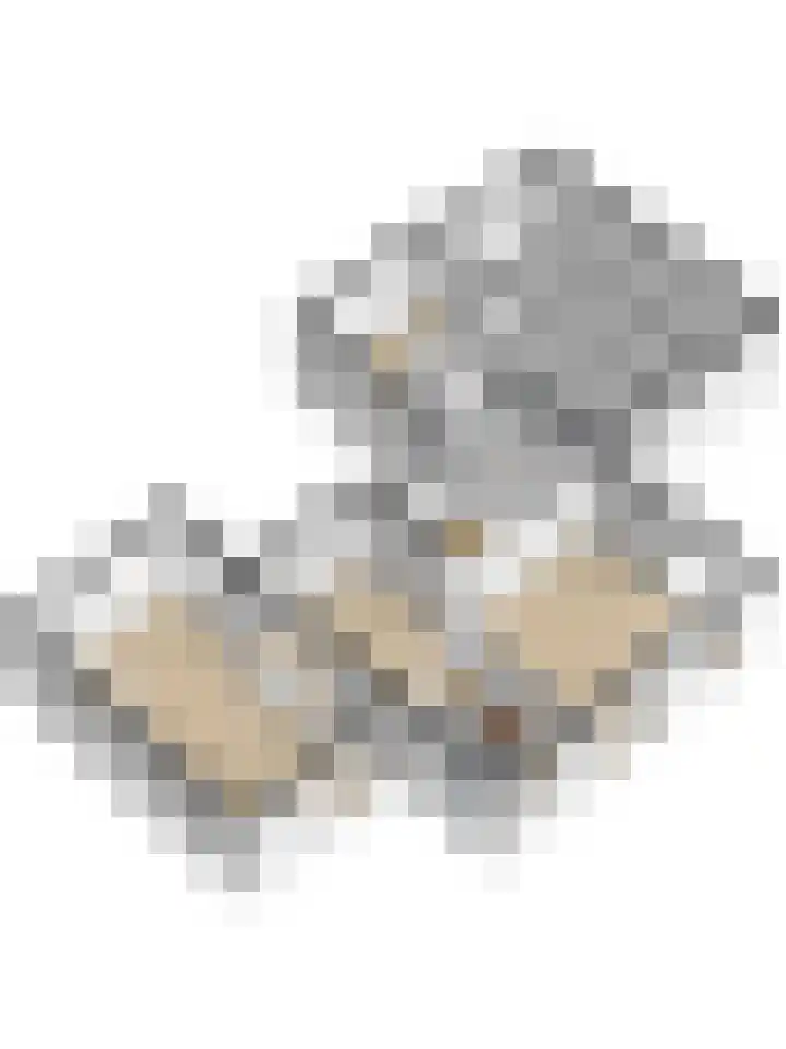 Jacques Perkstraat 2 Nijverdal thumbnail 23
