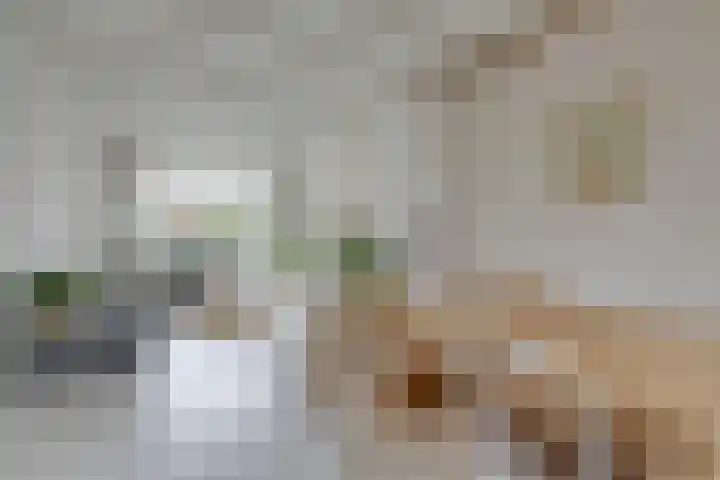 Jacques Perkstraat 7 Arnhem thumbnail 13