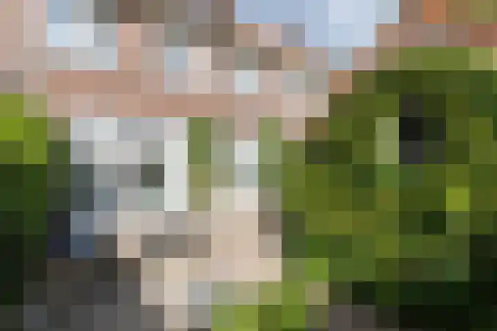 Jacques Perkstraat 7 Arnhem thumbnail 18