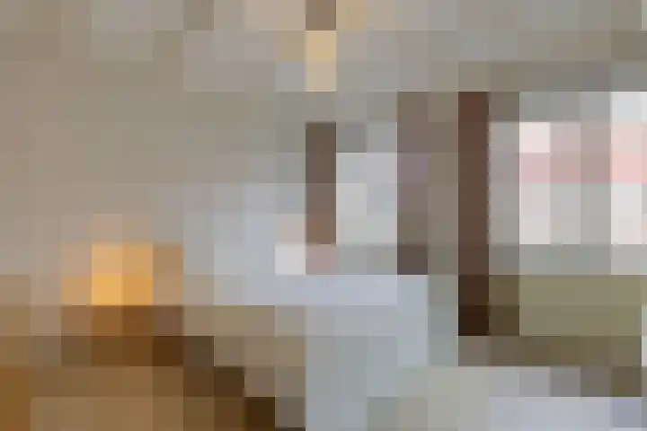 Jacques Perkstraat 7 Arnhem thumbnail 28