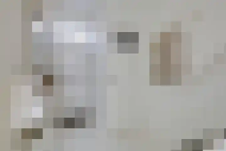 Jacques Perkstraat 7 Arnhem thumbnail 9