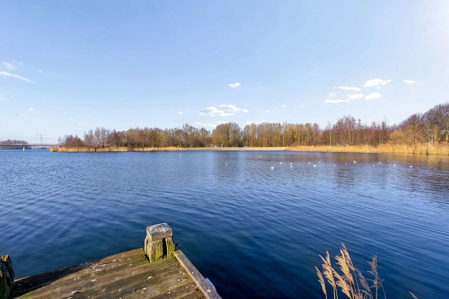 Jacques Tatilaan 143 Almere thumbnail 56