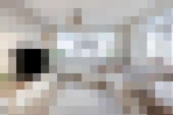 Jacques Tatilaan 47 Almere thumbnail 10