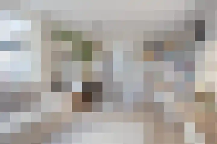 Jacques Tatilaan 47 Almere thumbnail 11