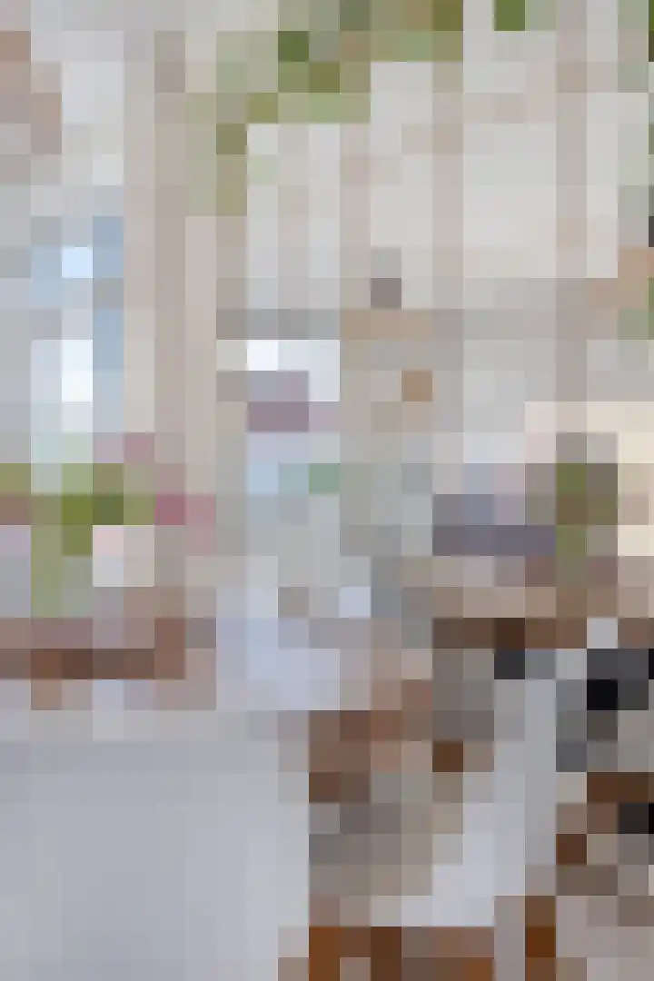Jacques Tatilaan 47 Almere thumbnail 15