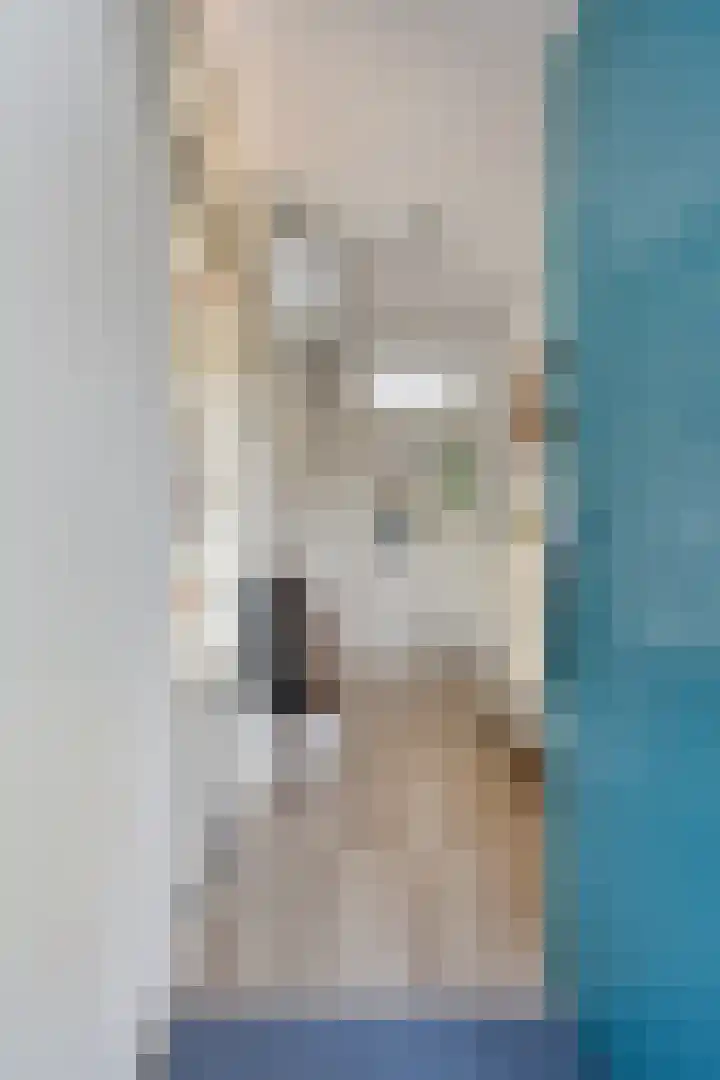 Jacques Tatilaan 47 Almere thumbnail 6