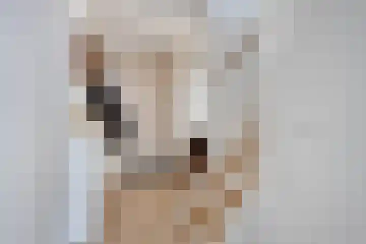 Jacques Tatilaan 47 Almere thumbnail 8
