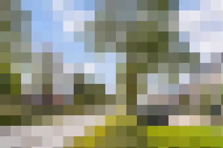 Jacques Tatilaan 60 Almere thumbnail 33