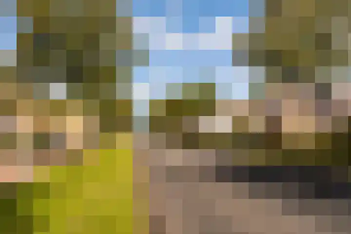 Jacques Tatilaan 60 Almere thumbnail 34