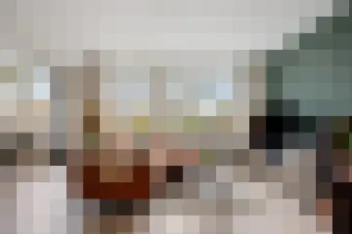 Jacques Urlusplantsoen 110 Leiden thumbnail 8
