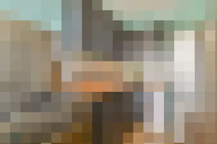 Jacques Urlusplantsoen 183 Leiden thumbnail 12