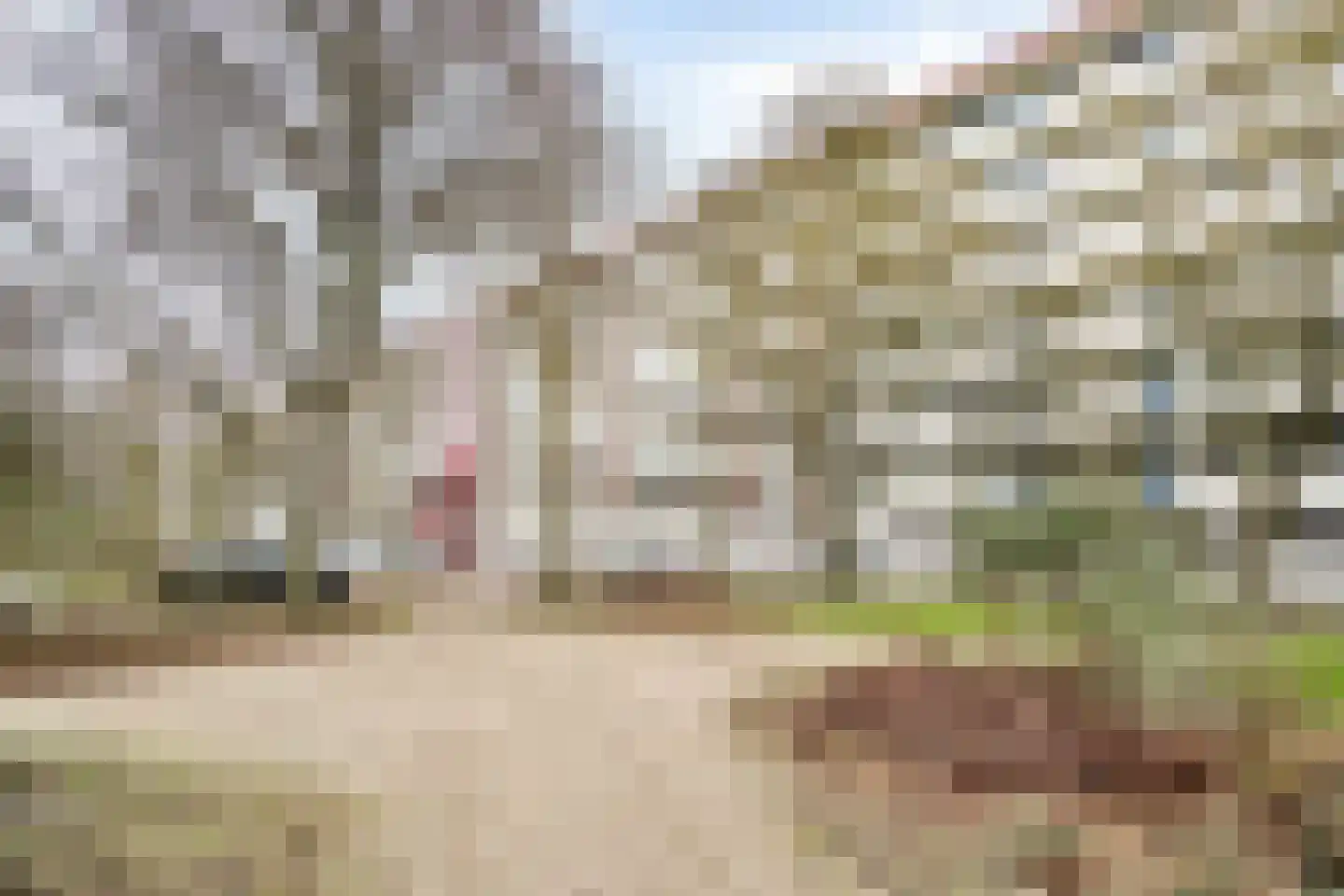 Jacques Urlusplantsoen 268 Leiden thumbnail 48