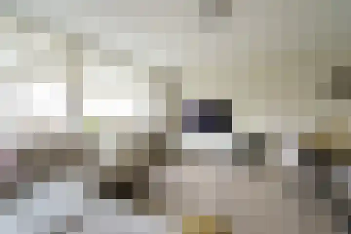 Jacques Urlusplantsoen 303 Leiden thumbnail 4