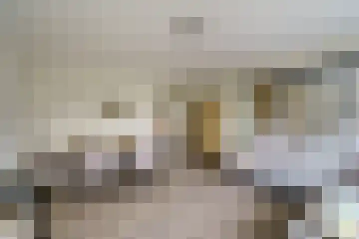 Jacques Urlusplantsoen 303 Leiden thumbnail 7